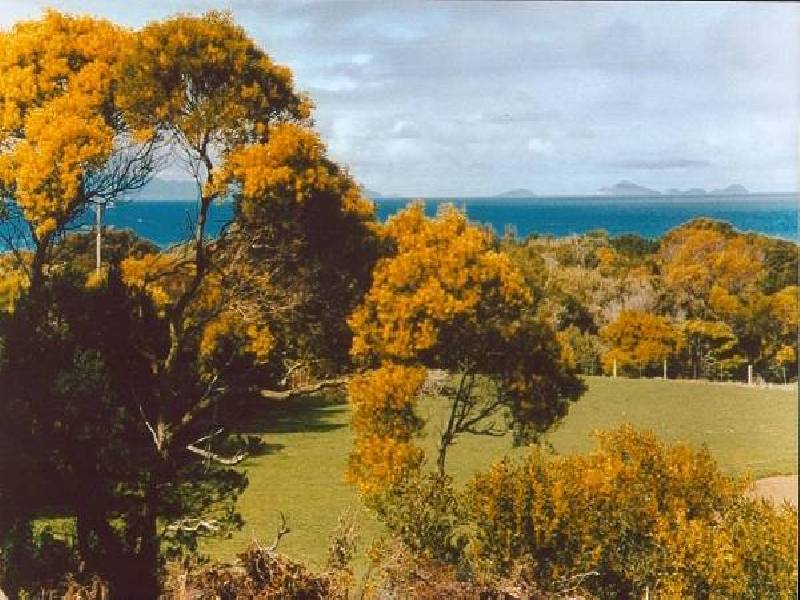 6 BAYSIDE DRIVE, Walkerville South VIC 3956