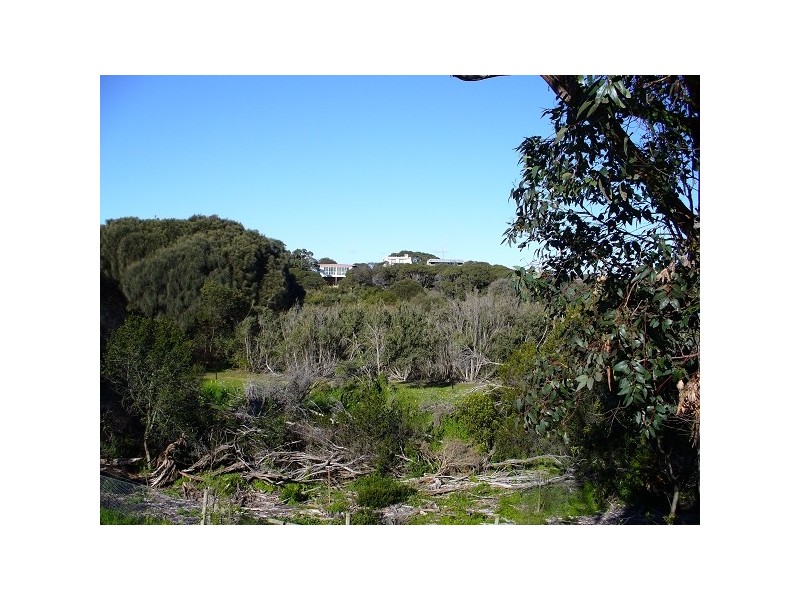 B103 (25) String, Blairgowrie VIC 3942