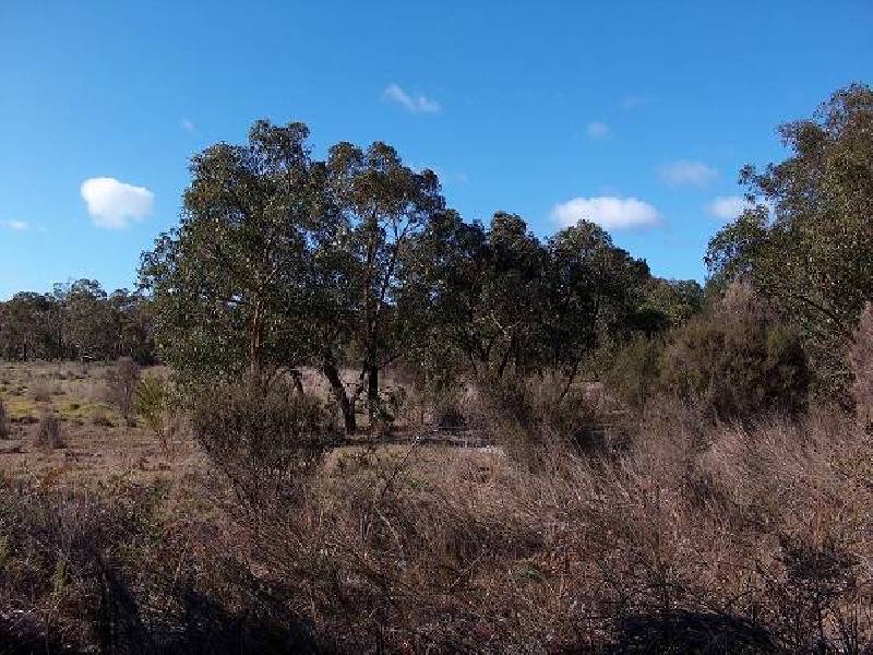 Lot 24 Frog Hollow, Torquay VIC 3228