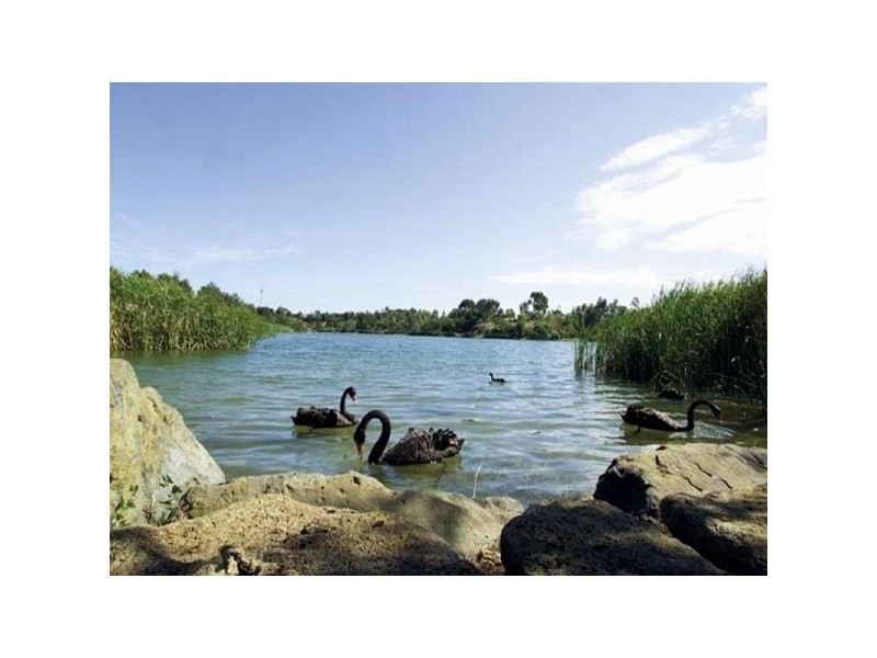 1/32 Elizabeth Street, Newport VIC 3015