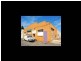 27H AITKEN STREET, Williamstown VIC 3016