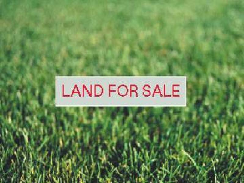 5 Wills Place, Newport VIC 3015