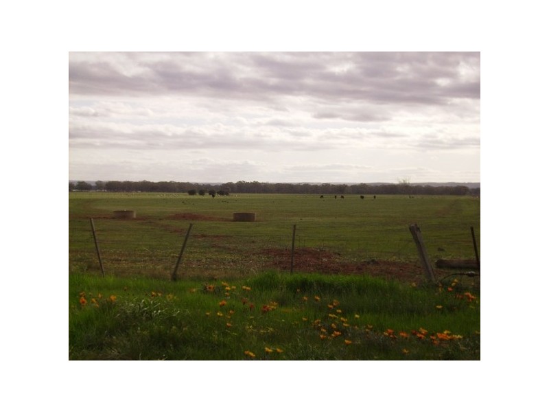 471 Harkness Road, Melton VIC 3337