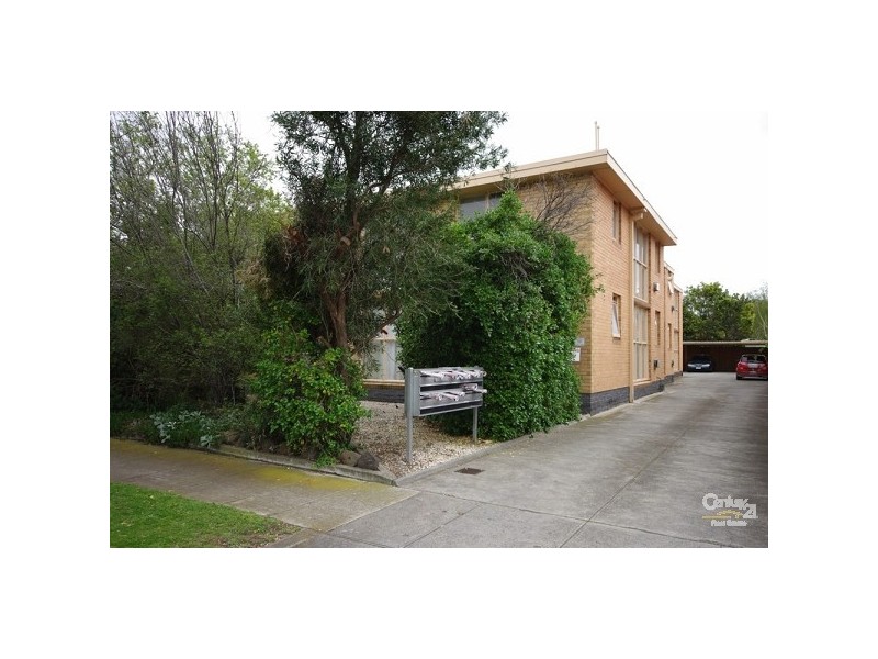 3/50 Trevelyan Street, Elsternwick VIC 3185