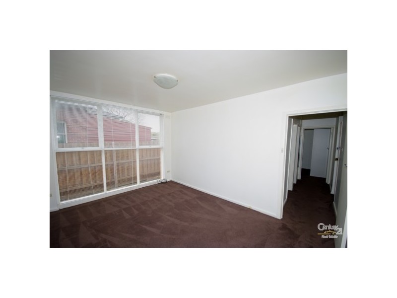 3/50 Trevelyan Street, Elsternwick VIC 3185