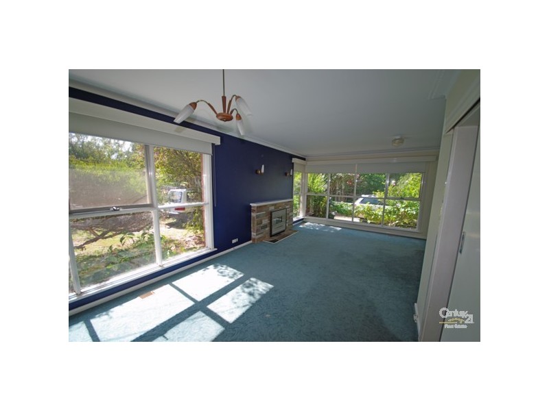 10 Curtin Street, Bentleigh East VIC 3165