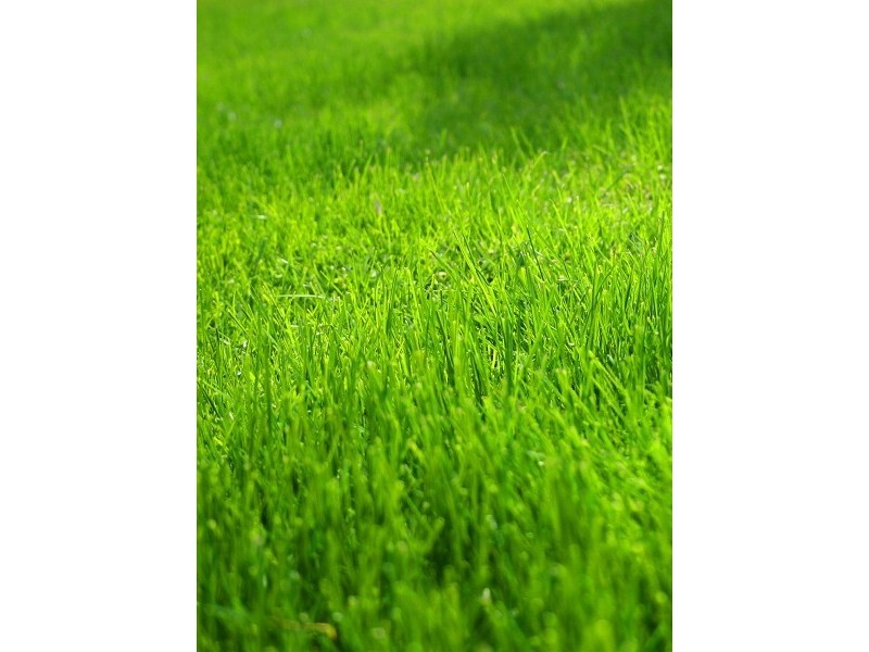 Lot 2/3 Normanby Road, Bentleigh East VIC 3165