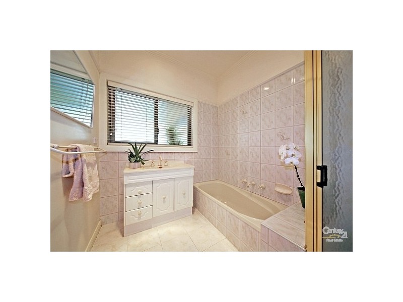 17 Clay Street, Moorabbin VIC 3189