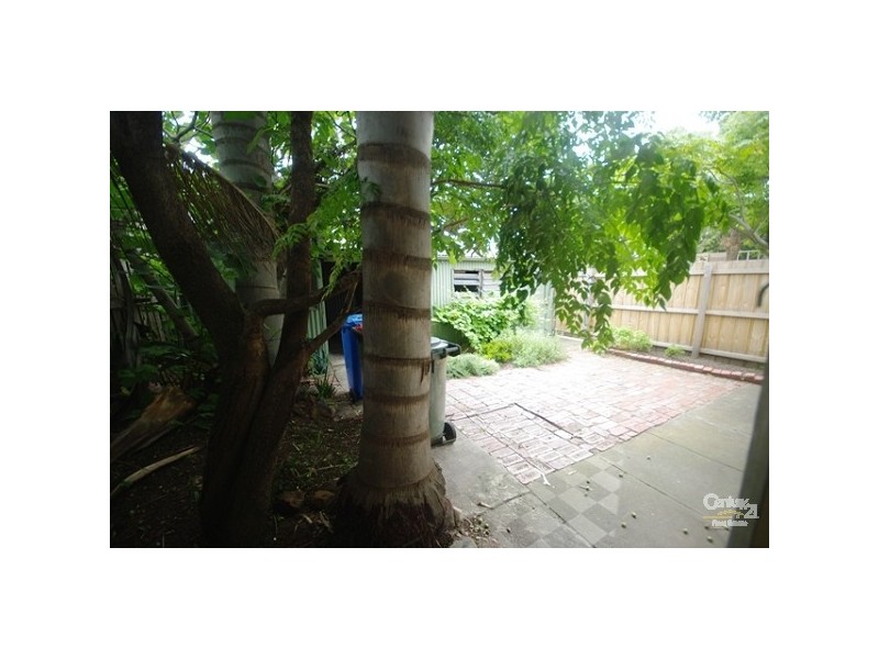 19 Wright Street, Brighton VIC 3186