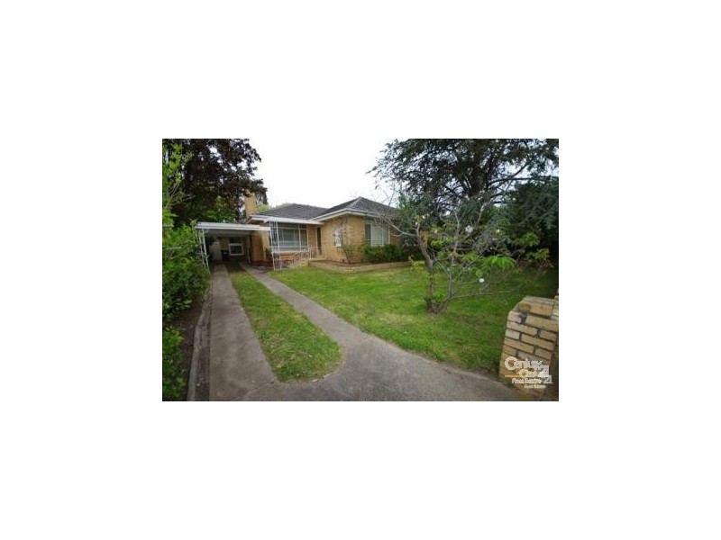 19 Tasman Road, Bentleigh East VIC 3165