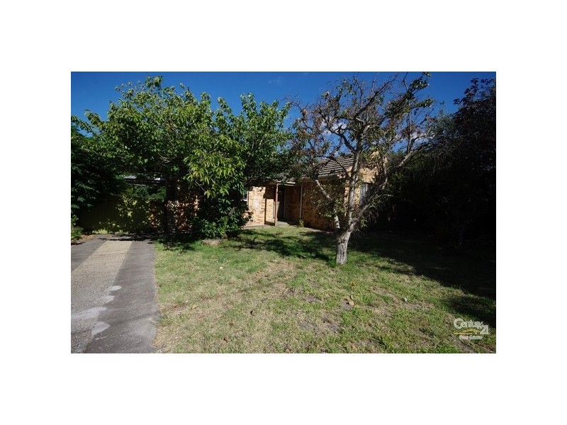 38 Melaleuca Drive, Clayton South VIC 3169