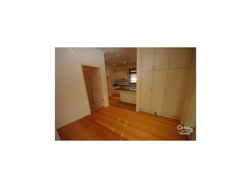 19 Pascoe Avenue, Bentleigh VIC 3204