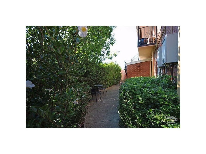 1/62 York Street, St Kilda West VIC 3182