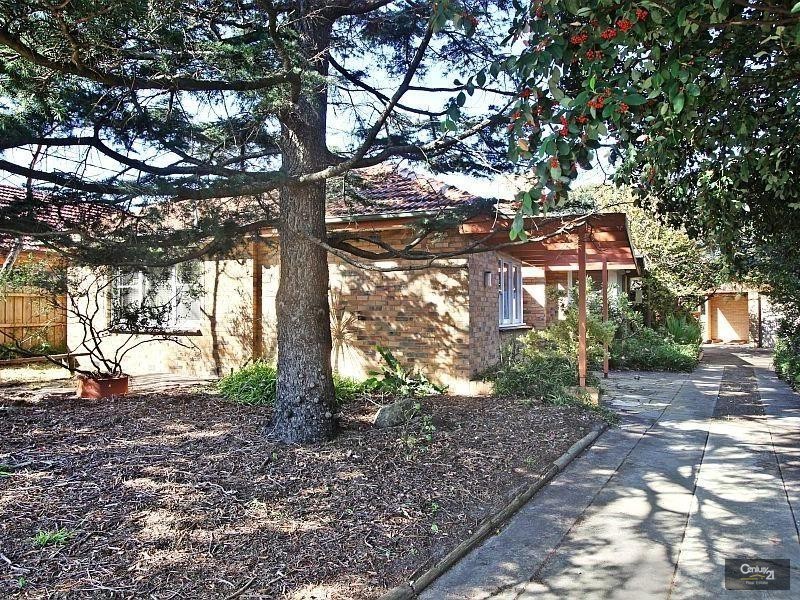 8 Hill Street, Bentleigh East VIC 3165