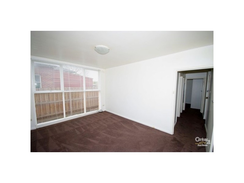 3/50 Trevelyan Street, Elsternwick VIC 3185