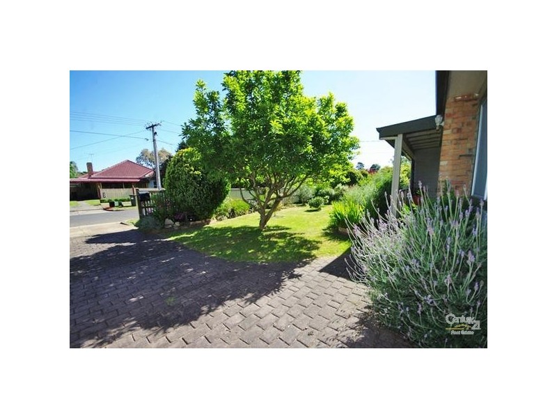 19 Thornton Street, Bentleigh East VIC 3165