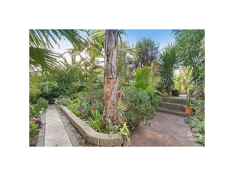 31 McKittrick Road, Bentleigh VIC 3204