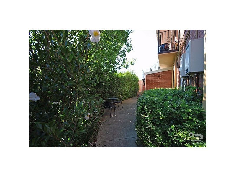 2/62 York Street, St Kilda West VIC 3182