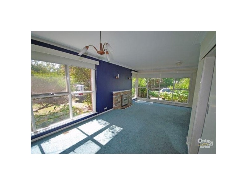 10 Curtin Street, Bentleigh East VIC 3165