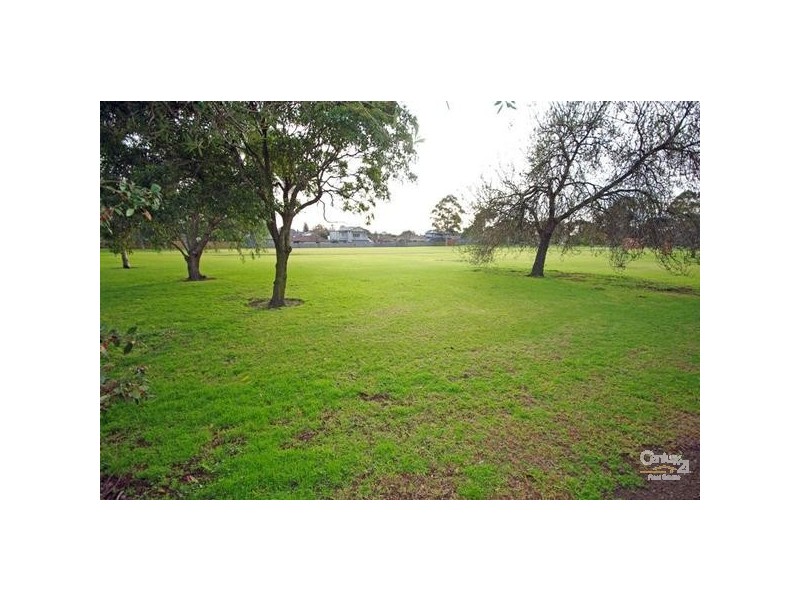 17 Short Street, Hampton East VIC 3188