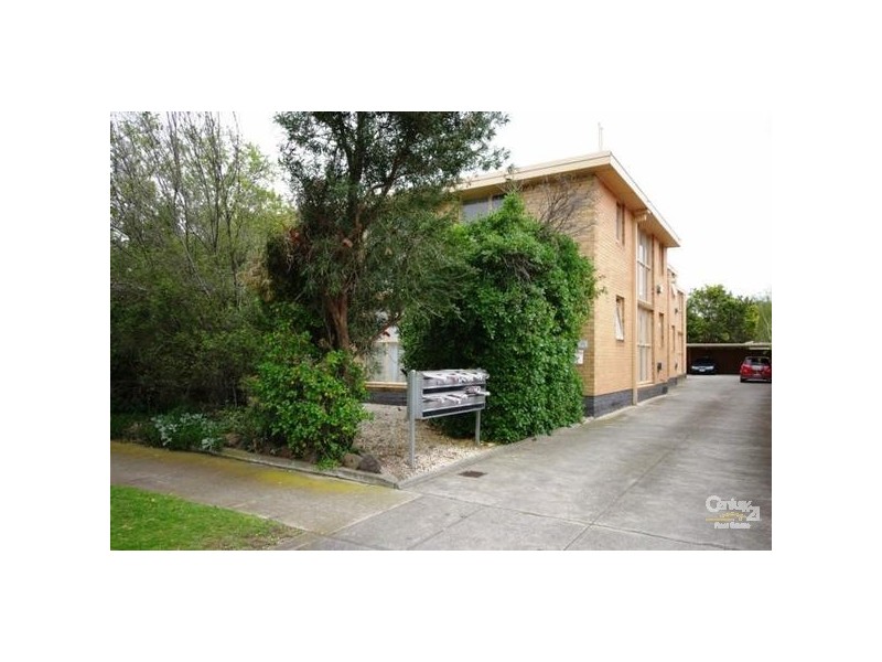 3/50 Trevelyan Street, Elsternwick VIC 3185