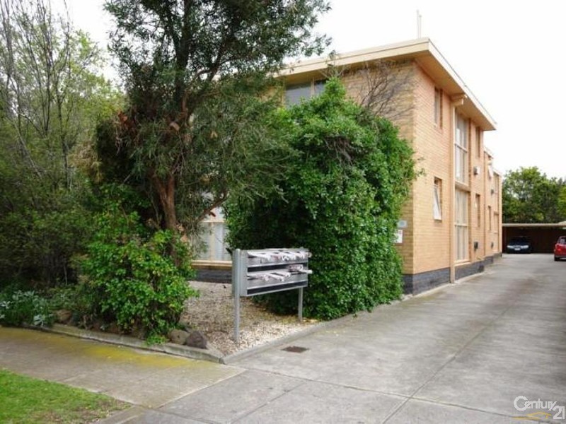 3/50 Trevelyan Street, Elsternwick VIC 3185