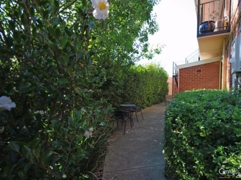 3/62 York Street, St Kilda West VIC 3182