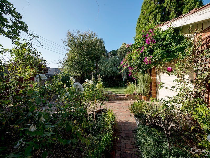 14 Neerim Road, Caulfield VIC 3162