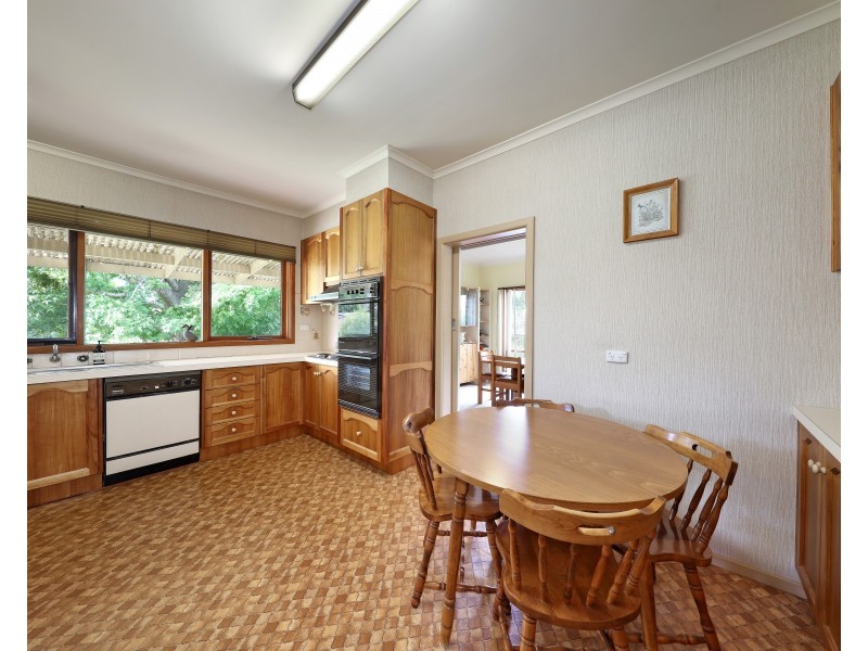 16 McKittrick Road, Bentleigh VIC 3204