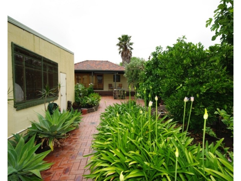 37 CONNIE STREET, Bentleigh East VIC 3165