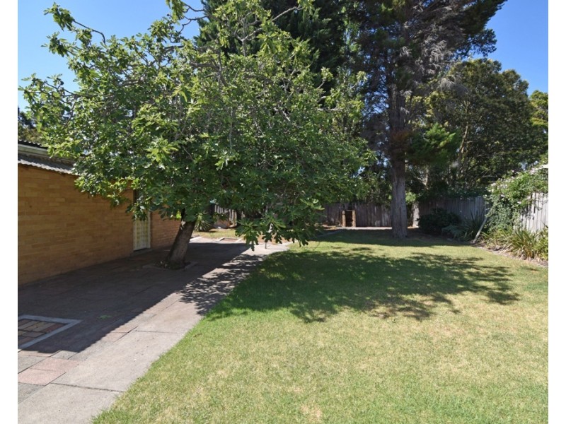 3 Claude Street, Bentleigh East VIC 3165