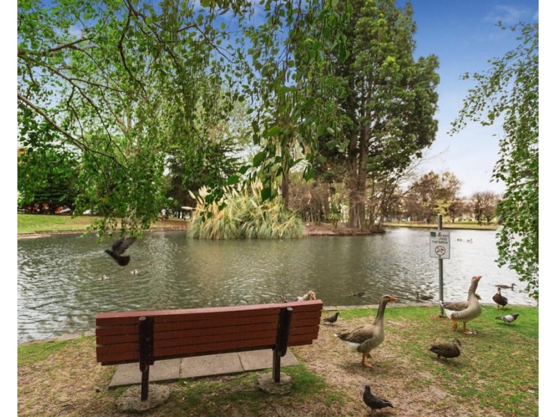 203/100 Hawthorn Road, Caulfield North VIC 3161