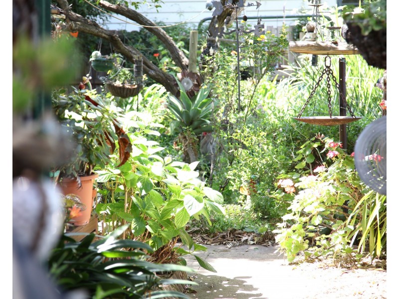 4 Keswick Street, Bentleigh East VIC 3165