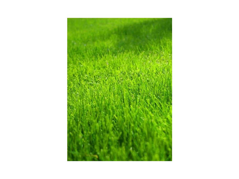 10 Bendigo Avenue, Bentleigh VIC 3204