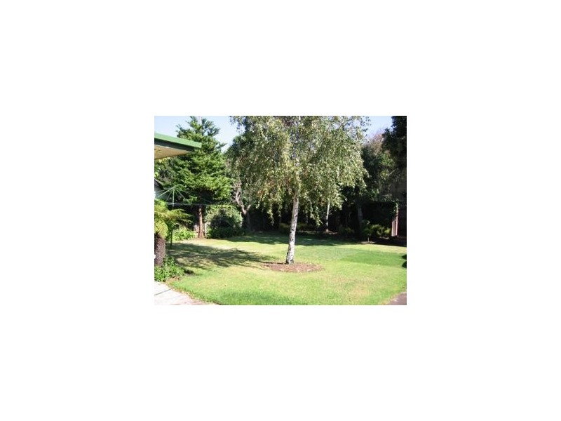 377 St Kilda Street, Brighton VIC 3186