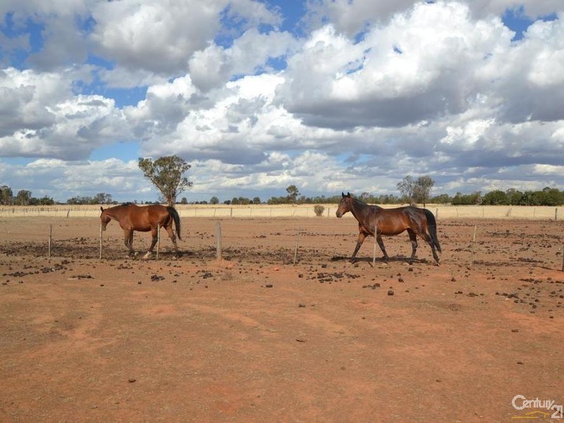 375 O’Brien Road, Lockington VIC 3563