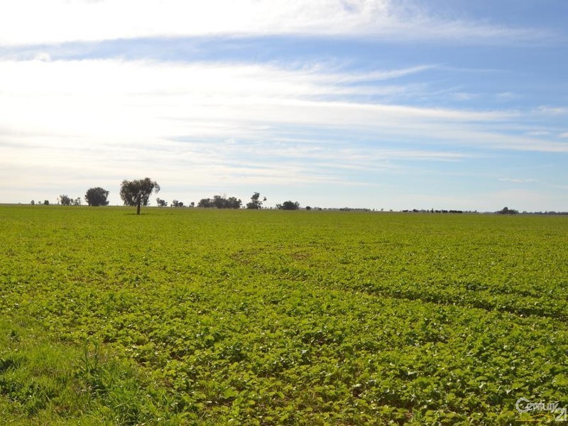 0 Yaree Road – Mathoura, Moama NSW 2731