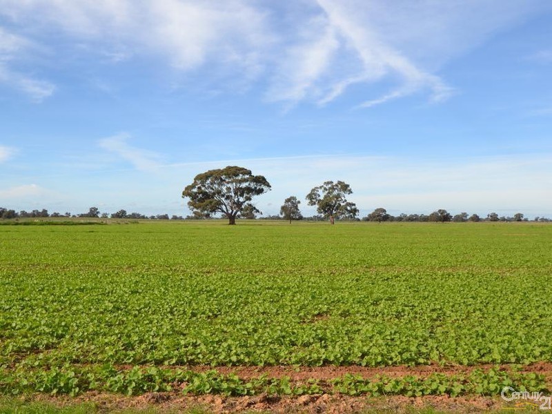 0 Yaree Road – Mathoura, Moama NSW 2731