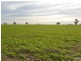 0 Yaree Road – Mathoura, Moama NSW 2731