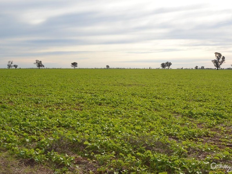 0 Yaree Road – Mathoura, Moama NSW 2731