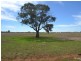 Lot 2 ‘Doyles’ Thyra Road, Moama NSW 2731