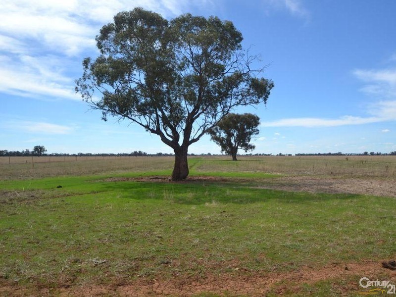 Lot 2 ‘Doyles’ Thyra Road, Moama NSW 2731