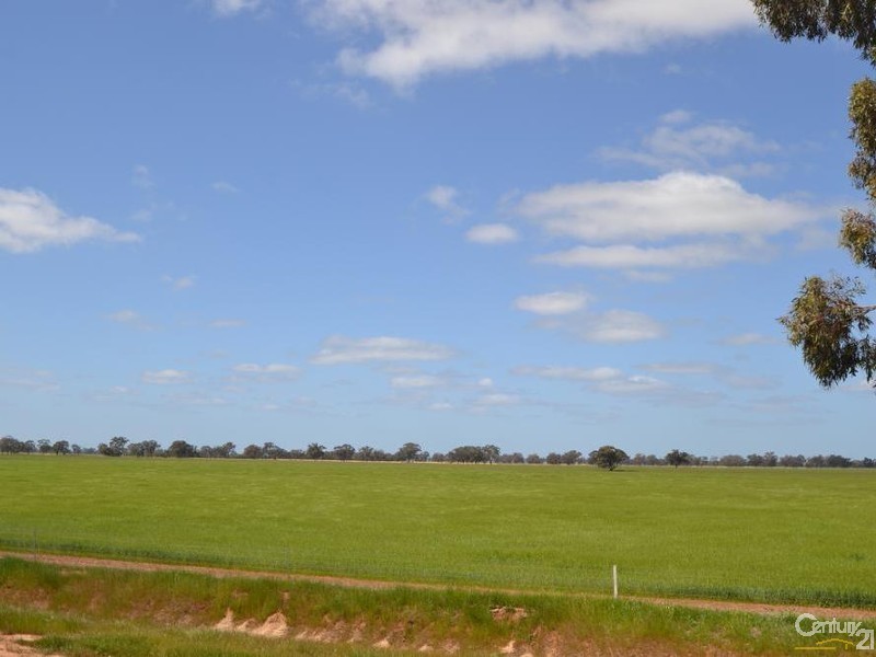 170 Thyra Road, Moama NSW 2731