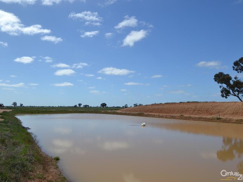 170 Thyra Road, Moama NSW 2731