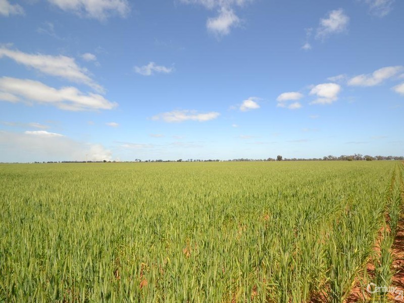 170 Thyra Road, Moama NSW 2731