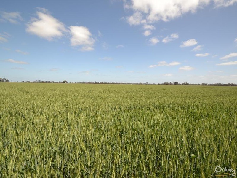 170 Thyra Road, Moama NSW 2731