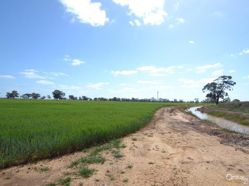 170 Thyra Road, Moama NSW 2731