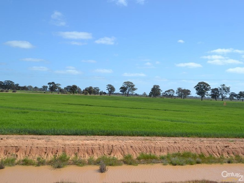 170 Thyra Road, Moama NSW 2731