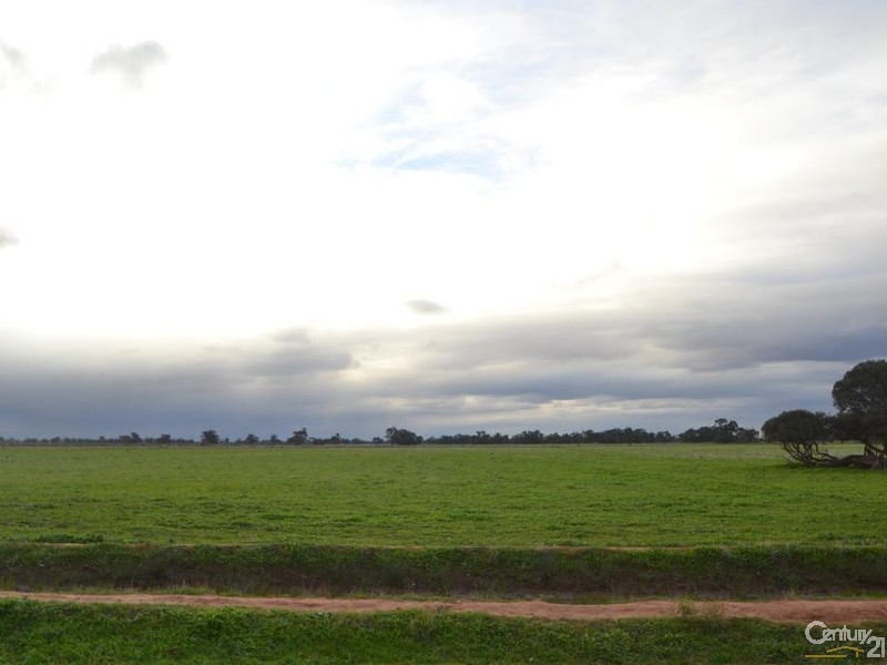 2570 Perricoota Road, Moama NSW 2731