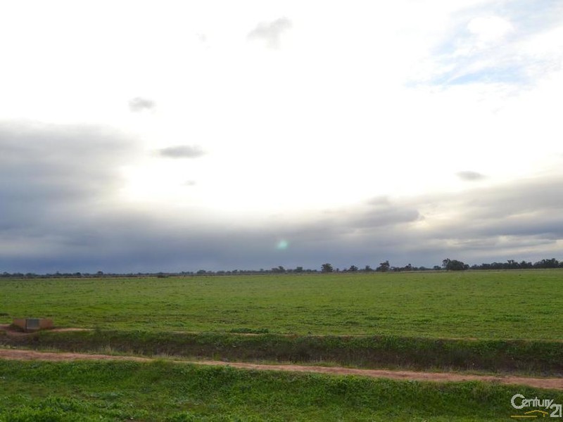 2570 Perricoota Road, Moama NSW 2731